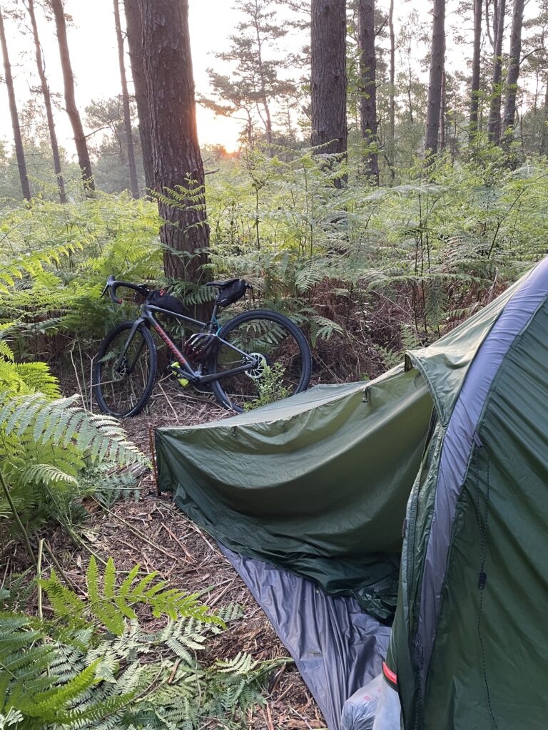 Bikepacking setup